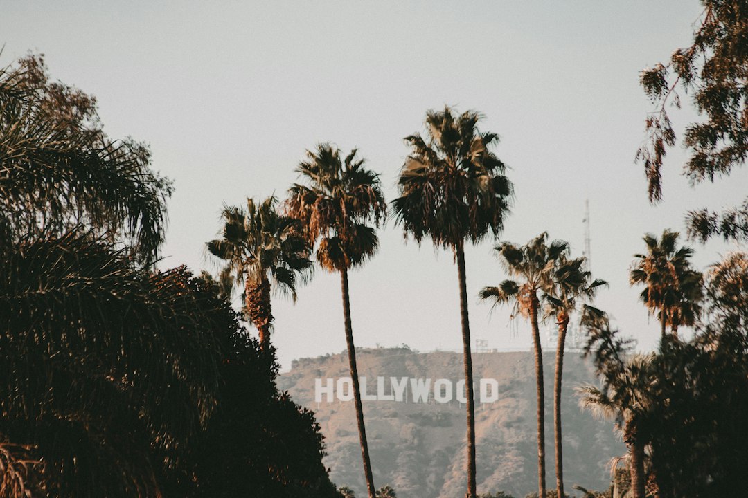 A Weary Hollywood Celebrates the Prospect of Federal Funding