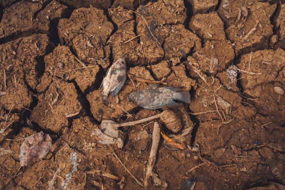 Europe is blowing up riverbeds as an extreme drought wreaks havoc on its economy